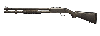 MS590